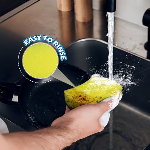 Cleaning Sponges