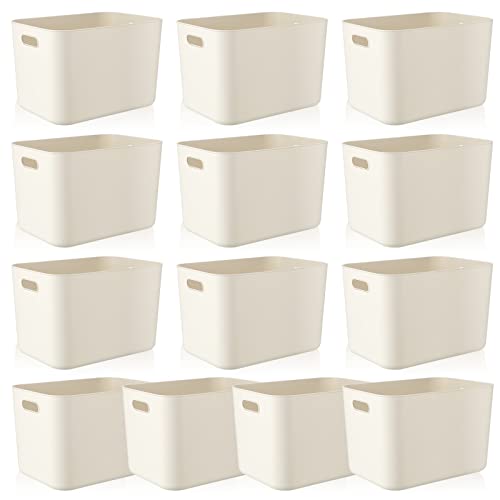 10 Pcs Plastic Storage Bins