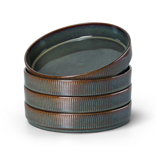4 6 Pieces Stoneware Pasta Bowls Set