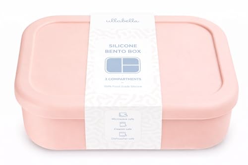 Silicone Bento Lunch Box for Kids