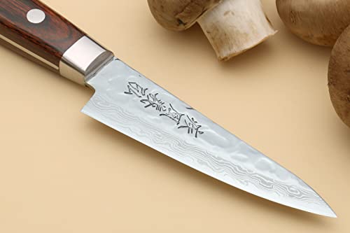 VG10 16 Layer Hammered Damascus Stainless Steel Knife