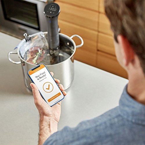 Sous Vide Precision Cooker Nano 2.0