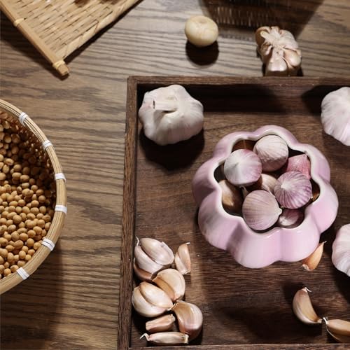 Garlic Keeper for Counter
