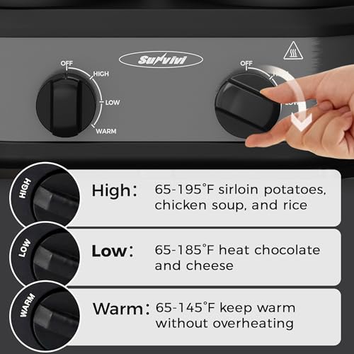 Dual Pot Slow Cooker