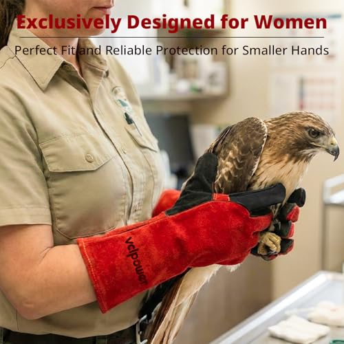 Animal Gloves for Men and Women