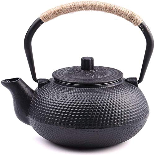 Japanese Tetsubin Tea Kettle Cast Iron Teapot with Stainless Steel Infuser