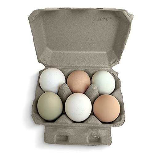 Half Dozen Blank Egg Cartons