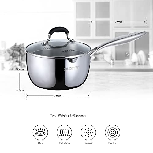 Stainless Steel Saucepan