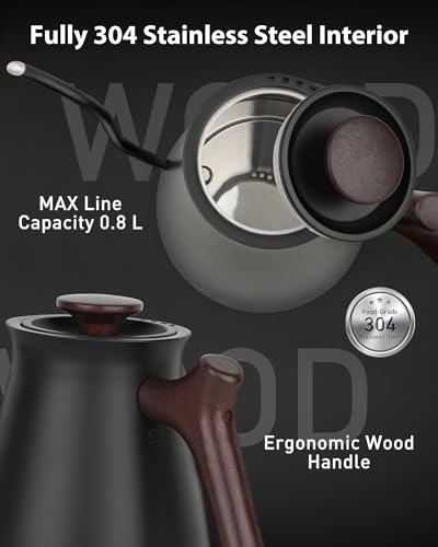 Electric Gooseneck Kettle