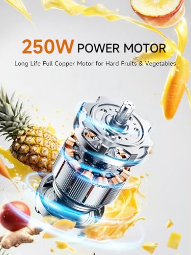 Masticating Juicer Machines Slow Cold Press Juicer Extractor Easy To Clean for Vegetables & Fruits
