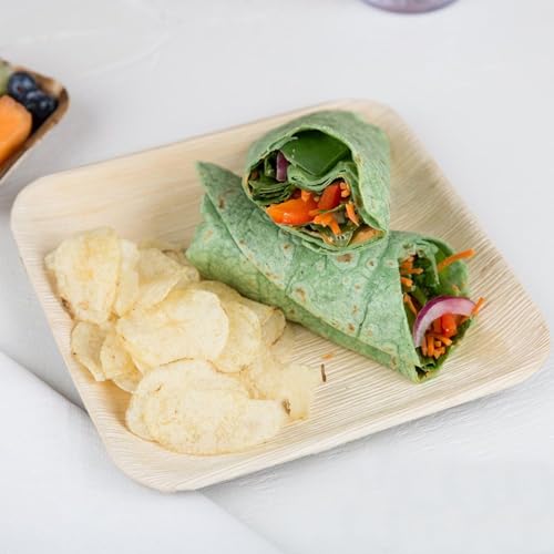 Raj Palm Leaf Plates 6" Square Plates like Bamboo plates Disposable