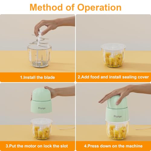 Baby Food Processor