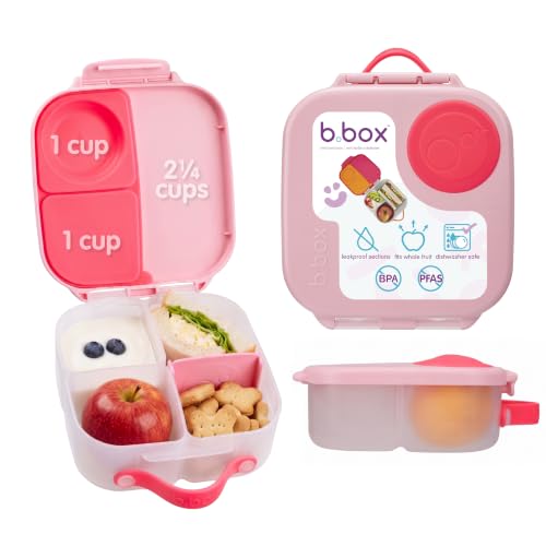 Mini Lunch Box