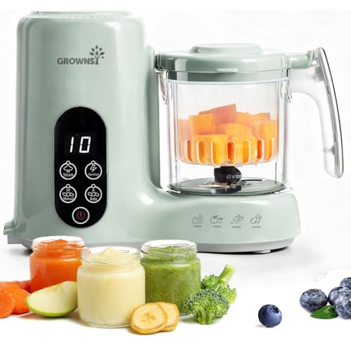 Baby Food Maker