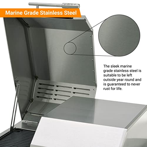 Electric Grill