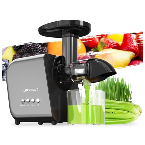 Masticating Juicer Machines Slow Cold Press Juicer Extractor Easy To Clean for Vegetables & Fruits