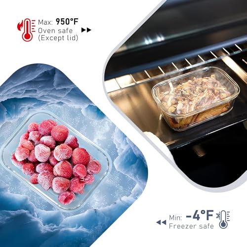 10 Pack Glass Food Storage Containers with Tempered Glass Lids (Tempered Lids Gray / 4.4Cup*5 & 1.6 Cup*5)