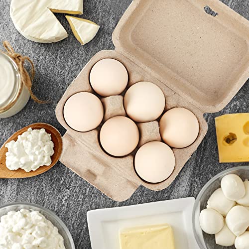 Egg Cartons Bulk