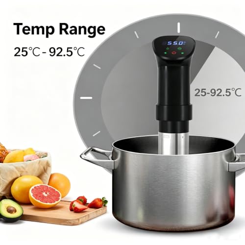 WiFi Sous Vide 1100W 220V (220V)