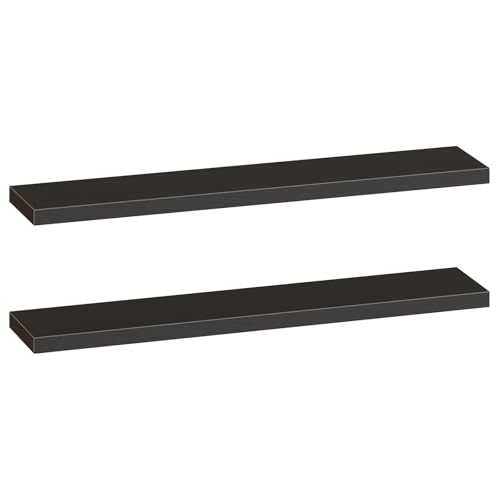 Floating Shelves for Wall