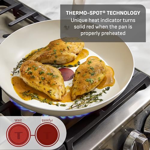 Signature Nonstick 12 Inch Frying Pan Skillet