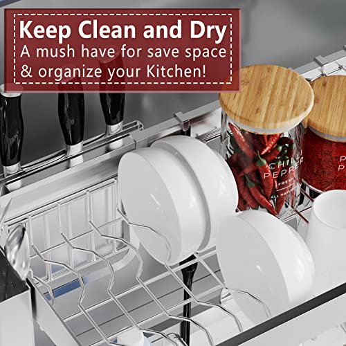 Over Sink Dish Drying Rack (Silver / 2 Tier)