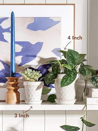 Ceramic Succulent Pots