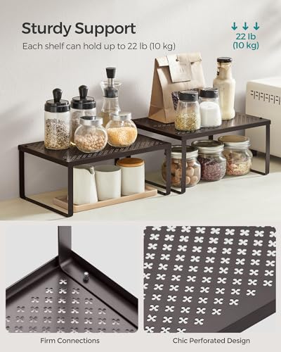 Spice Racks Metal Cabinet Shelf Organizers
