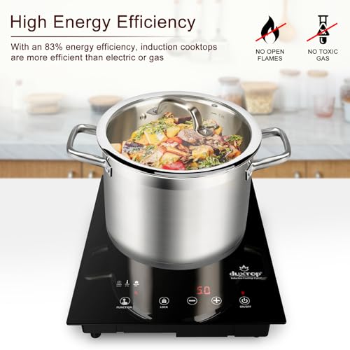 Built in Induction Cooktop