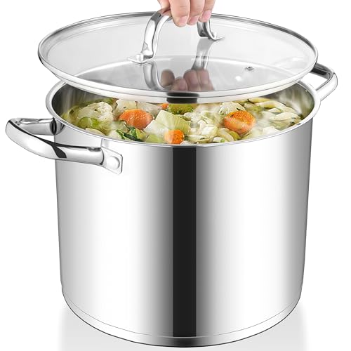 Stainless Steel Stockpot