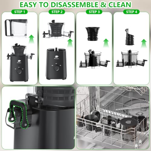 Cold Press Juicer