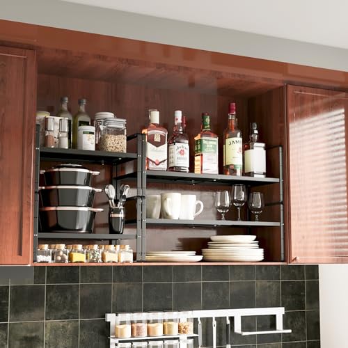 Expandable Pull Out Cabinet Organizer