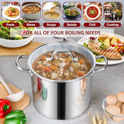 Stainless Steel Stockpot