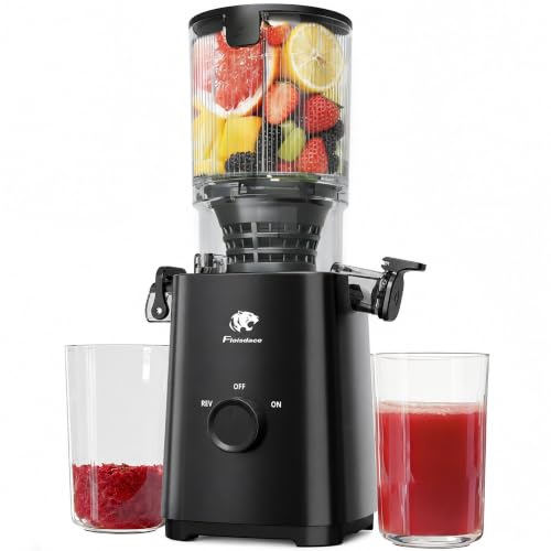 Cold Press Juicer