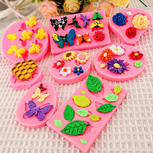 Shape Chocolate Candy Molds for Chocolate