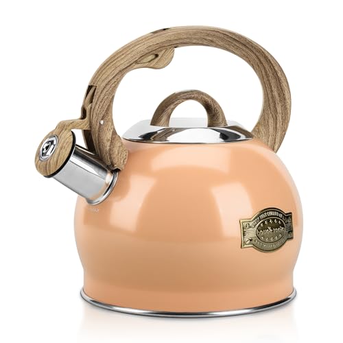 Tea Kettle Stovetop