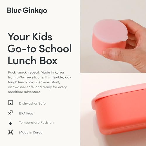 Lunch Box