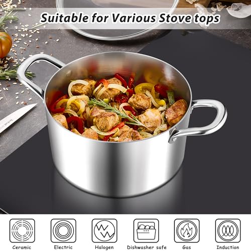 Stainless Steel Stock Pot with lid