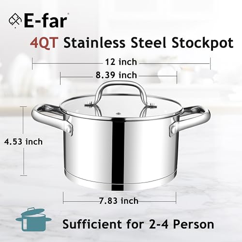 Stainless Steel Stock Pot