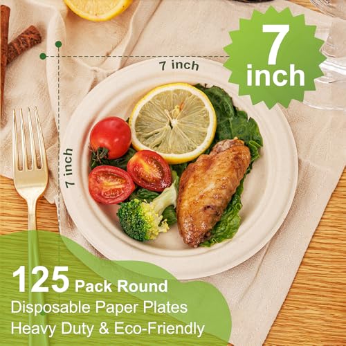 100% Compostable Paper Plates 7 9 10 12 Inch
