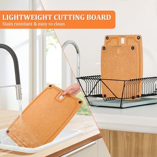 Large Cutting Boards for Kitchen Dishwasher (2 Pack: X-Large + Large)