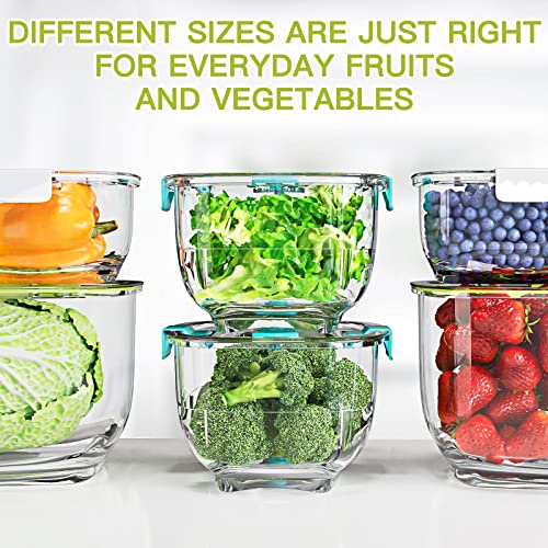Fresh Produce Vegetable Fruit Storage Containers 3Piece Set