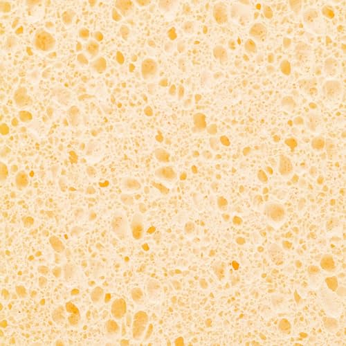 Biodegradable Kitchen Sponges