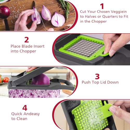 Vegetable Chopper (Gray-1)