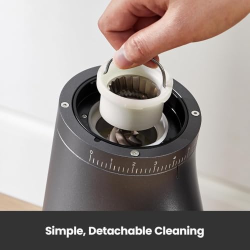 Electric Conical Burr Coffee Grinder (Gray)