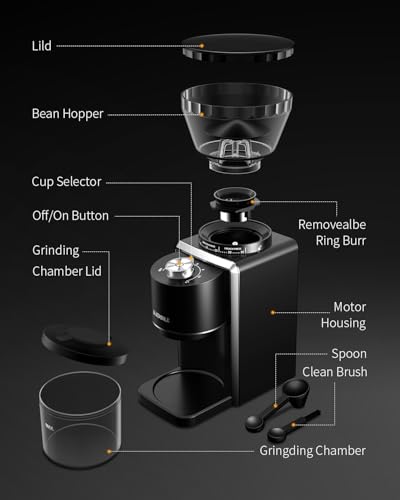 Conical Burr Coffee Bean Grinder (Black)
