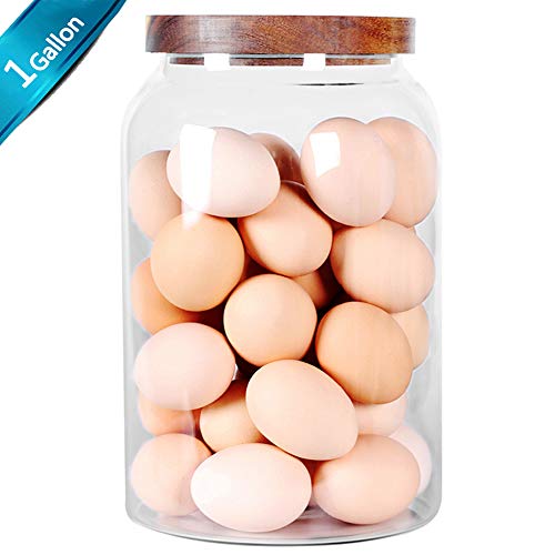 Large Glass jars