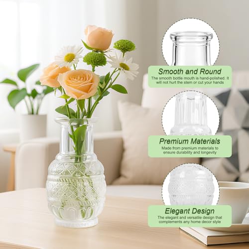Glass Bud Vase Set