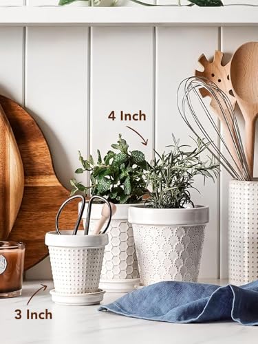 Ceramic Succulent Pots