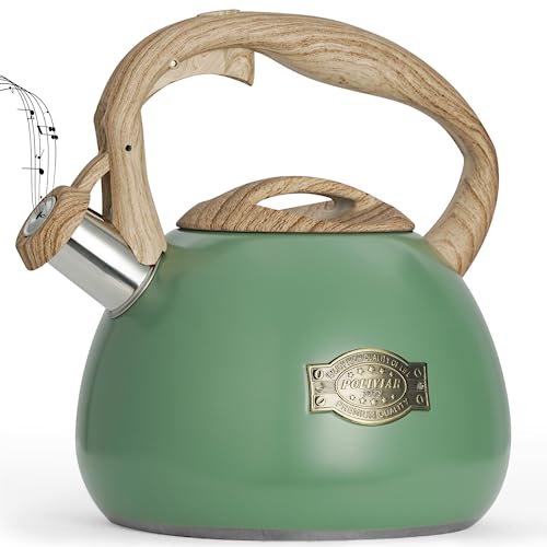 POLIVIAR Tea Kettle